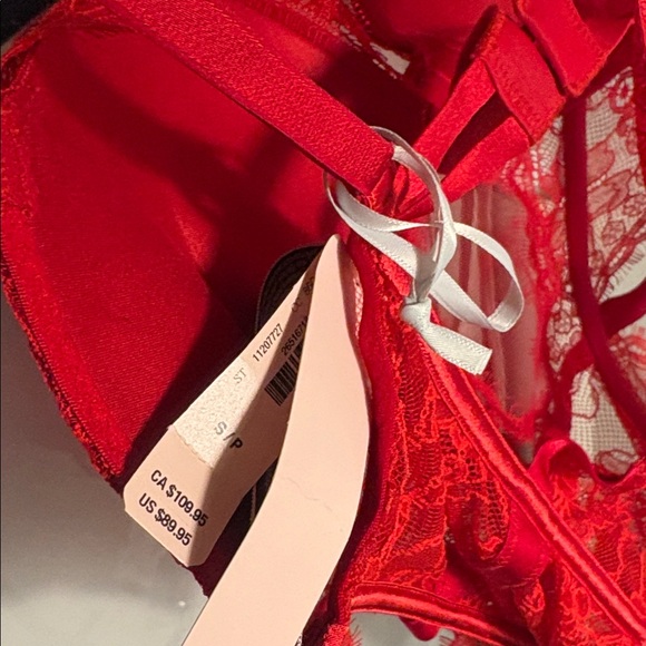 New VS Lace Bodysuit - Picture 5 of 9